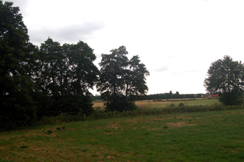 The River Flitt at Beadlow July 2010